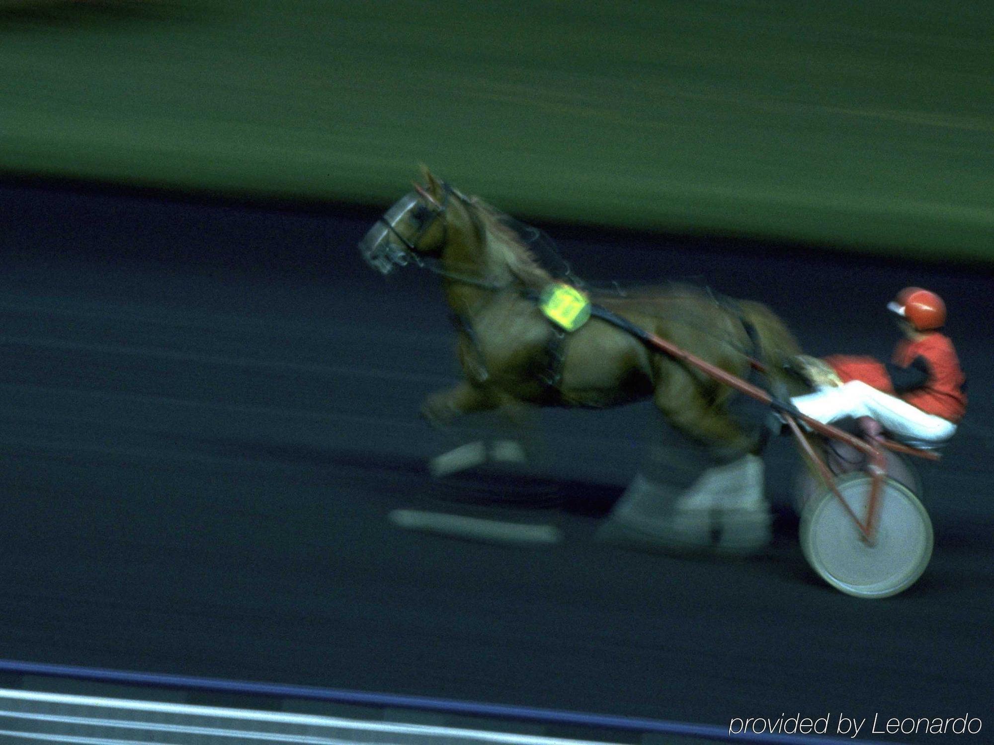 Ibis Daumesnil Porte Doree Hotel 3*