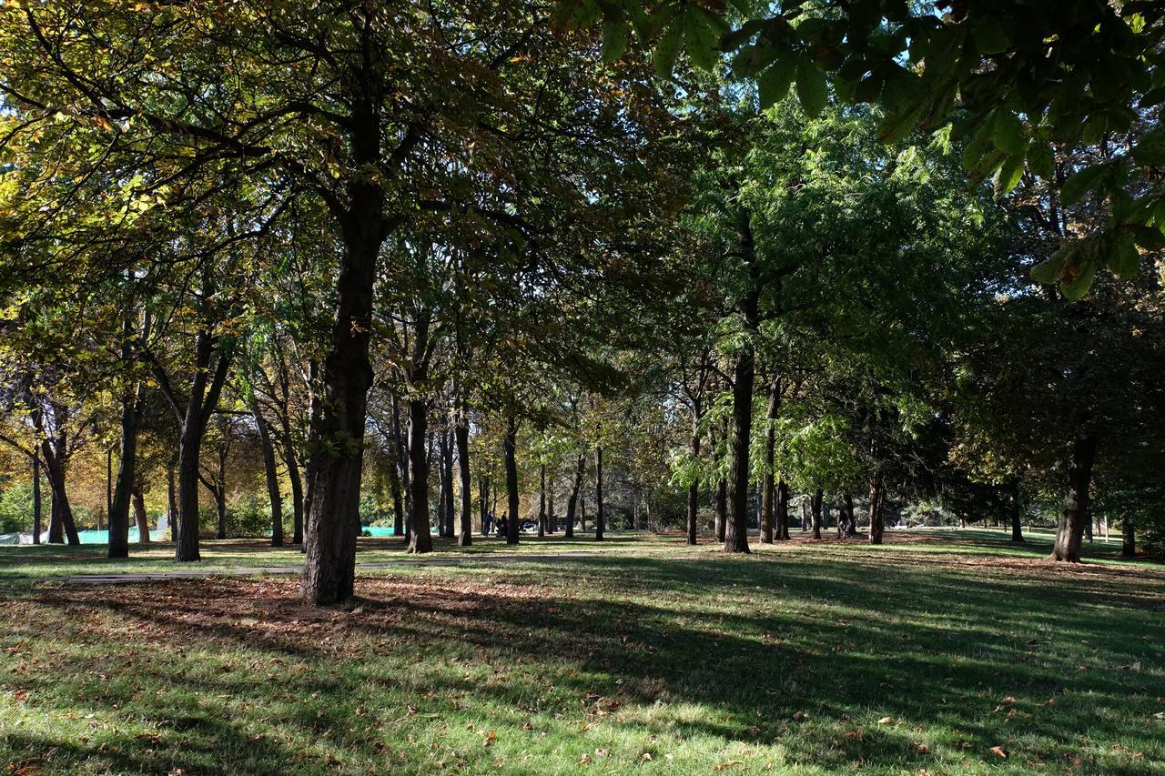 Ibis Daumesnil Porte Doree Hotel